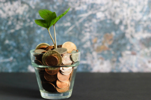 How to Set Up a Sinking Fund: A Practical Guide to Organizing Your Expenses